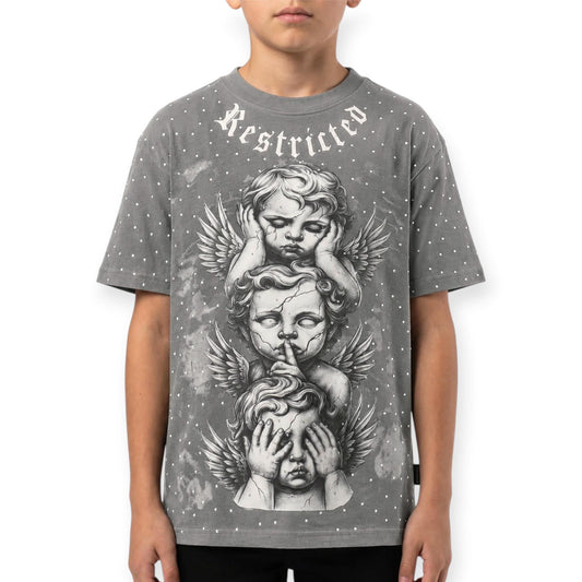 Dizaster Premium Boys Restricted Rhinestones Tee Grey